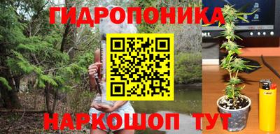 не бодяженный Гагарин