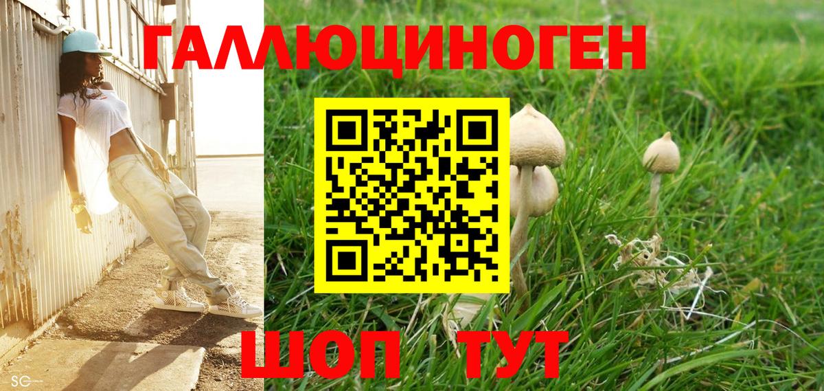 купить  цена  Вход с VPN  Грязи  Галлюциногенные грибы мицелий 